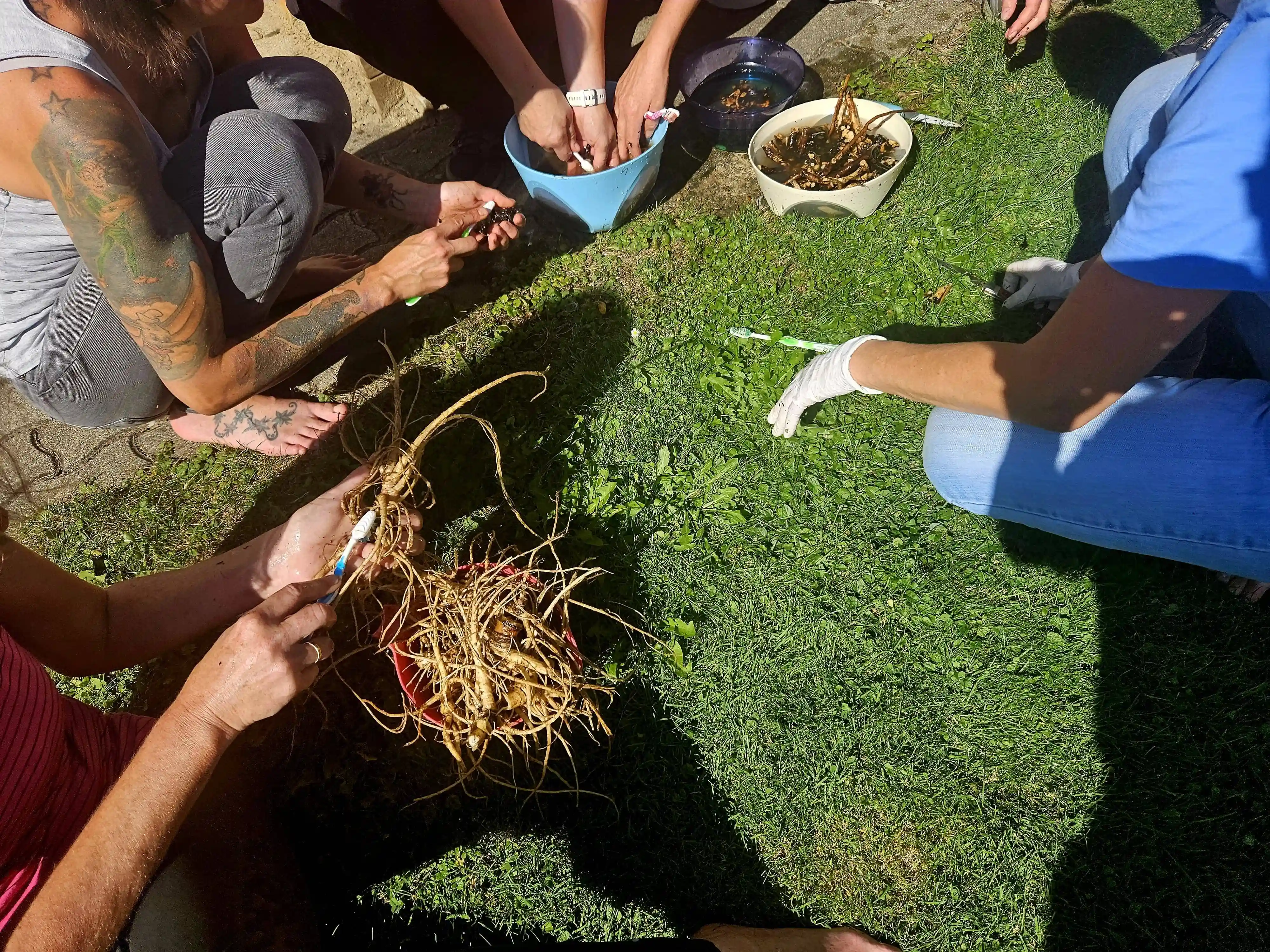 Fünf Teilnehmer bereiten beim Kräuterworhshop in einem Behälter etwas zu.