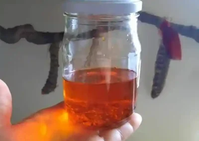 Ein Kräutererzeugnis in flüssiger Form im Glasbehälter.