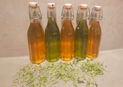 Flüssiges Kräutererzeugnis in Flaschen abgefüllt.